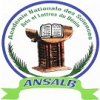 Benin National Academy of Sciences Logo